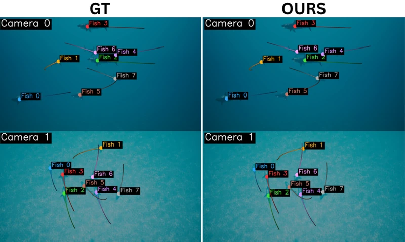 TrackFish3D compares ground-truth and predicted fish tracks from two camera views